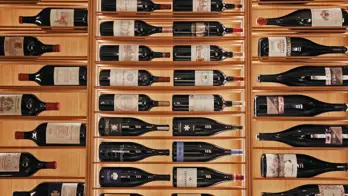 New Cellar2 Min
