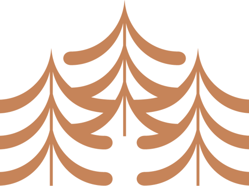 Appenzeller Huus Spa Icons Activity Nature Icon Copper