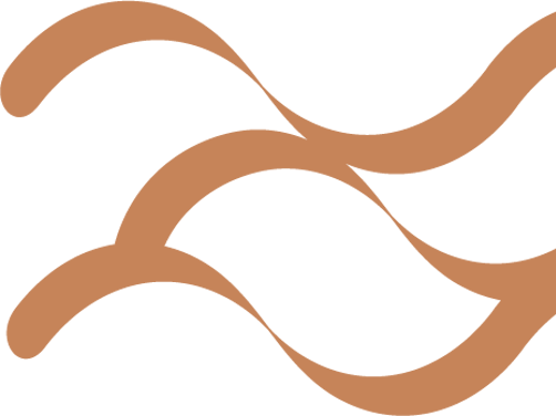 Placeholder (1)