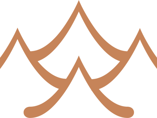 Appenzeller Huus Spa Icons Holistic Health Icon Copper