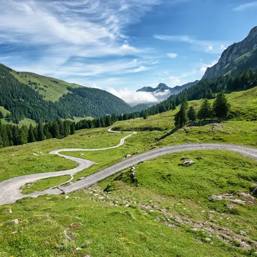 Appenzeller Huus Is 1390265575