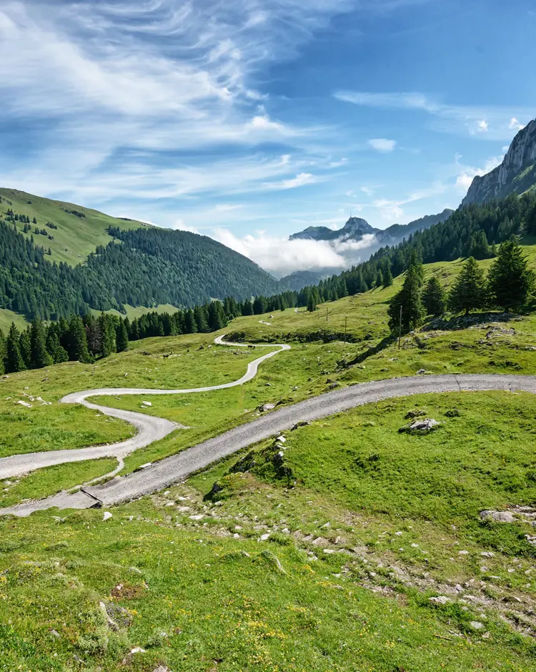 Luxury Swiss Alps real estate Appenzeller Huus