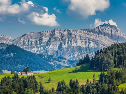 Appenzeller Huus Alpstein