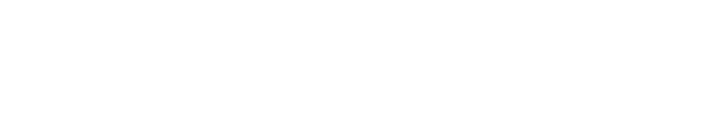 Logo Ibex Quer Neg