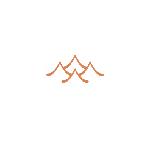 Appenzeller Huus Spa Icons Holistic Health Icon Copper¨ Small